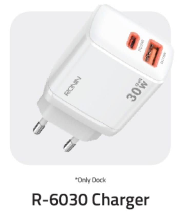 R-6030 Charger