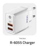 R-6055 Charger